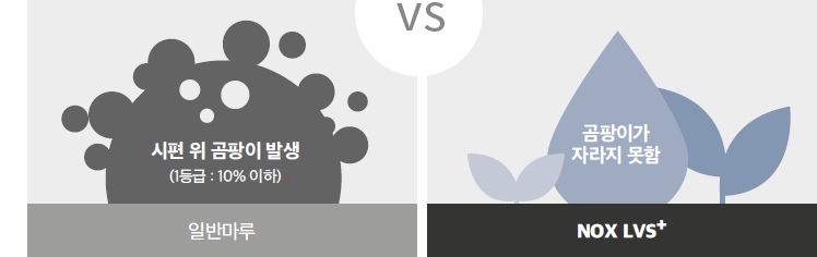 일반마루 곰팡이 번식과 녹수 LVS+ 곰팡이 번식 방지